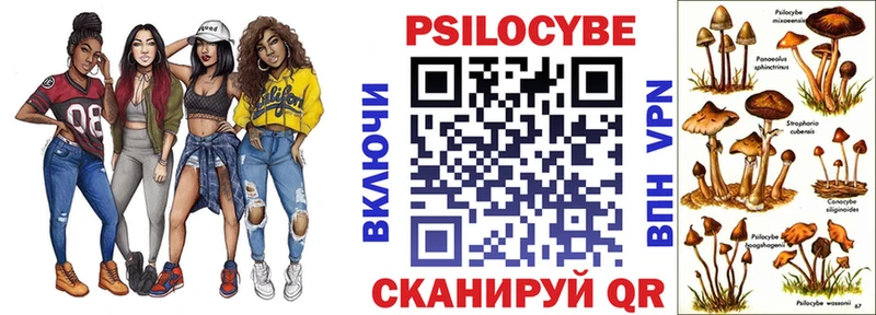 Галлюциногенные грибы Cubensis  Купить закладки  Яровое 